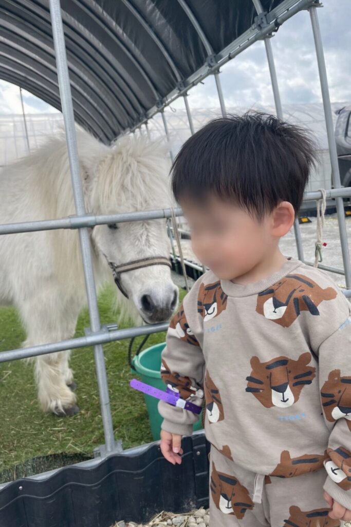ポニーに興味を示す2歳の孫